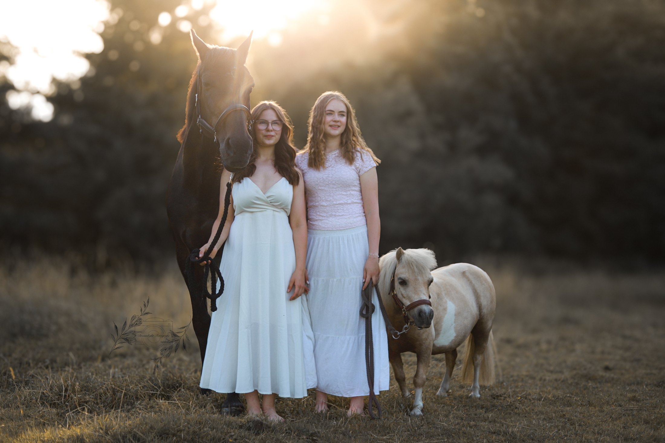 Dreamlight Portfolio