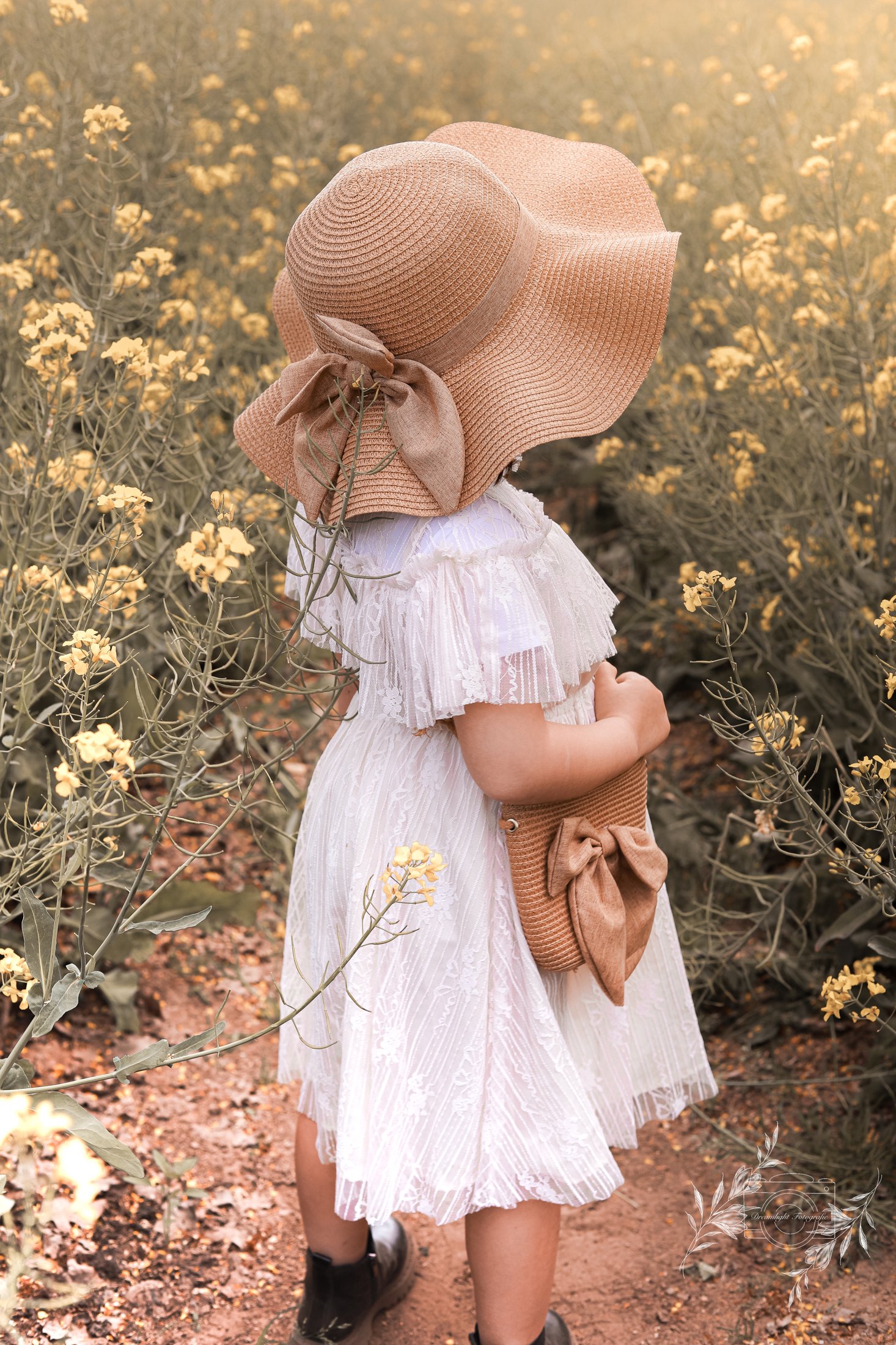 Dreamlight Portfolio
