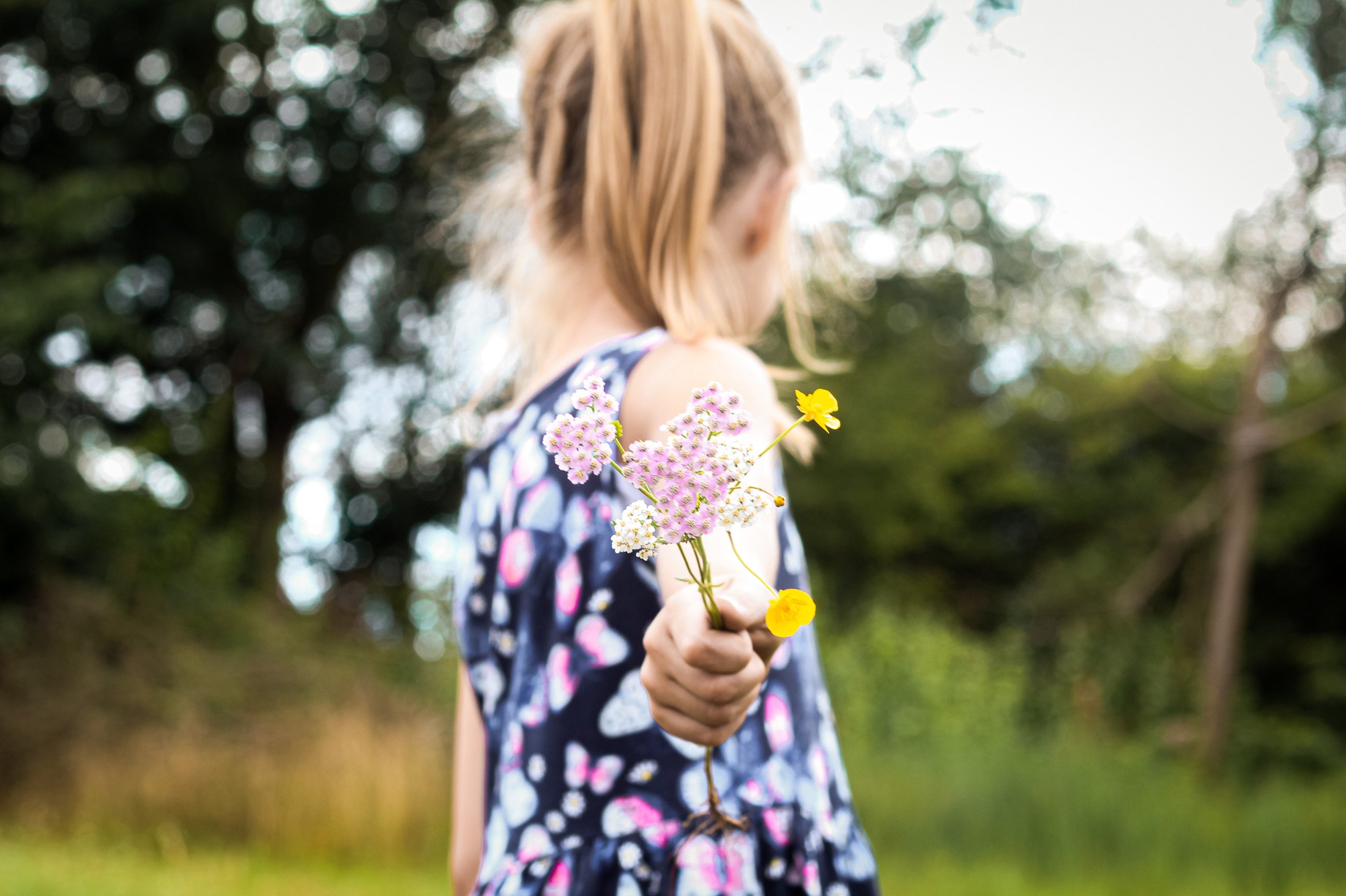 Dreamlight Portfolio