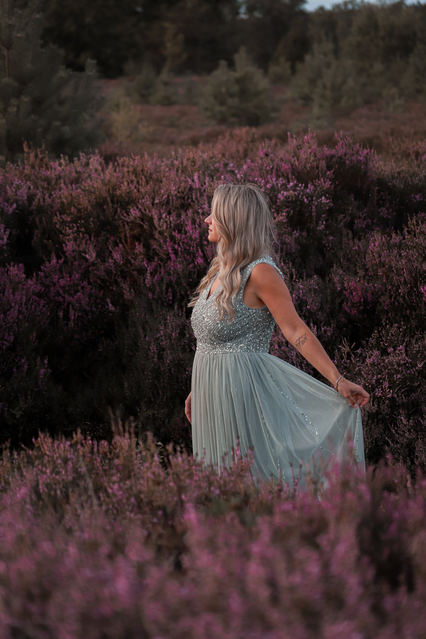 Dreamlight Portfolio
